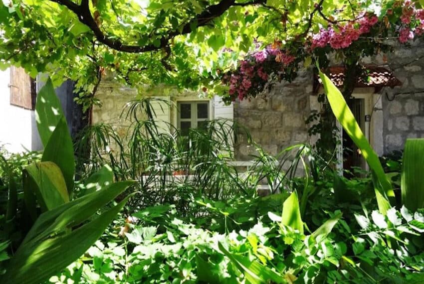 Old Vine House, Perast