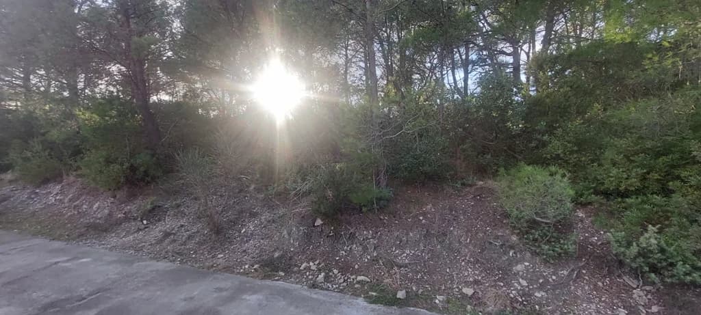 Plac, Tivat